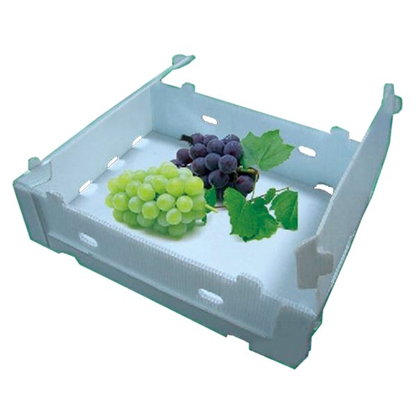 Corrugated Plastic Grape Box